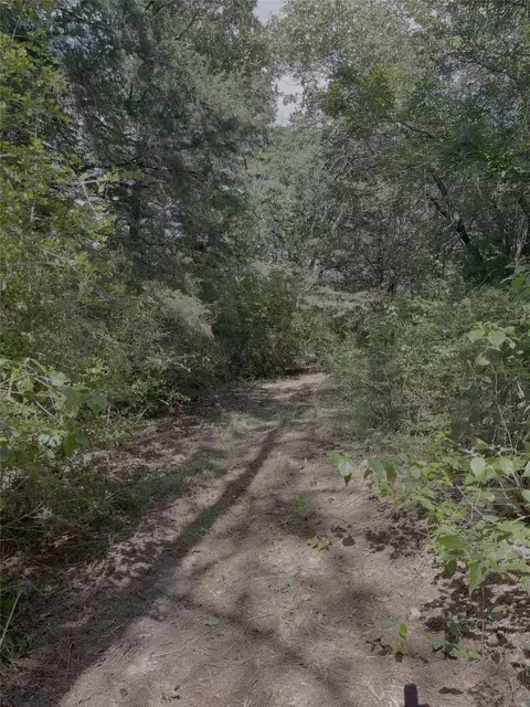 0 County Road 1208, Grapeland, TX 75844