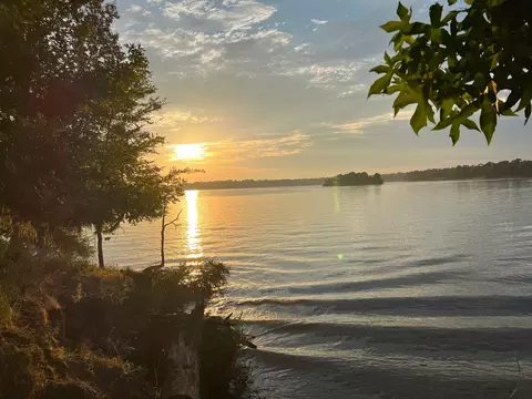 365 N Point Dr N, Trinity, TX 75862 photo 22