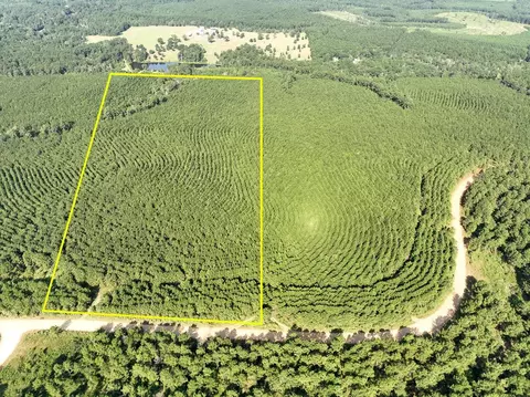 000 Shady Grove Rd, Woodville, TX 75979