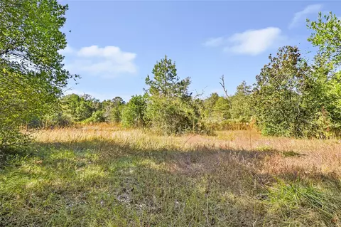 1224 Plum Pudding Rd, Livingston, TX 77351