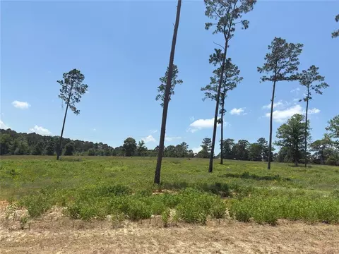0 Addison Rd, Livingston, TX 77351