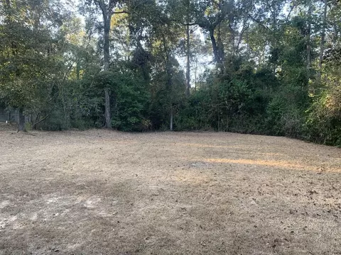 10855 Royal Pnes, Conroe, TX 77303 photo 4