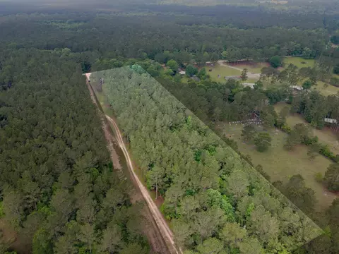 View/Area - 0 County Line Rd, Shepherd, TX 77371 photo 10 of 10