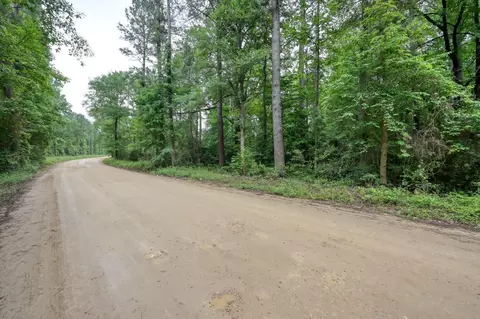 Other - 0 County Line Rd, Shepherd, TX 77371 photo 1 of 5