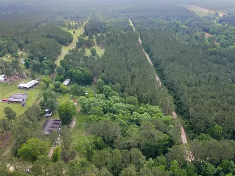 0 County Line Rd, Shepherd, TX 77371