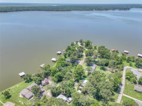 View/Area - 272 Sassafras Dr, Trinity, TX 75862 photo 3 of 4