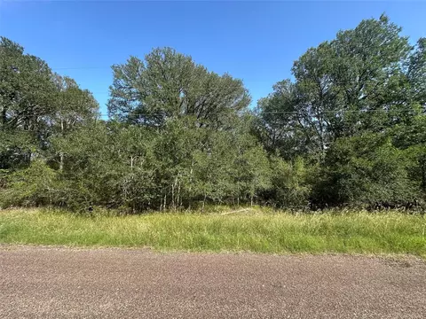 344 And 362 Indian Ridge Dr, Somerville, TX 77879