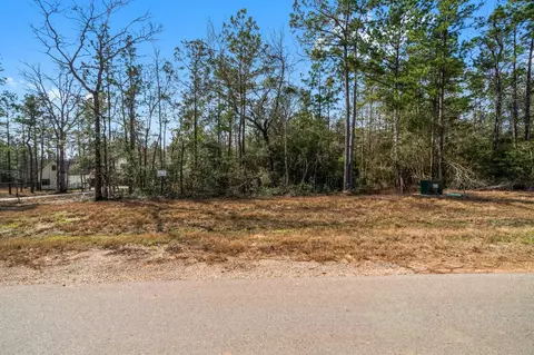 15491 Red Hawk Rd, Willis, TX 77378 photo 8