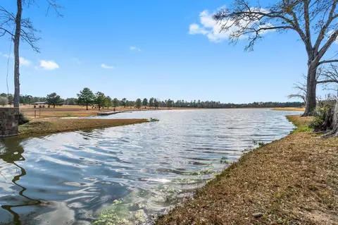 15491 Red Hawk Rd, Willis, TX 77378 photo 15
