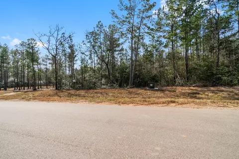 15491 Red Hawk Rd, Willis, TX 77378 photo 7