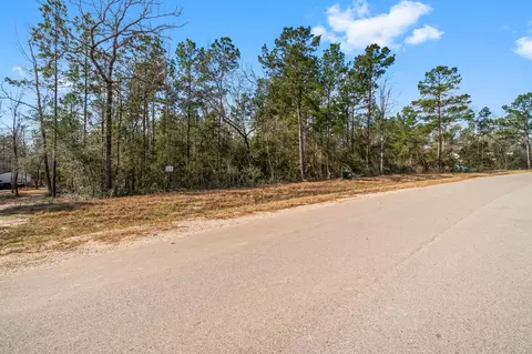 15491 Red Hawk Rd, Willis, TX 77378 photo 10