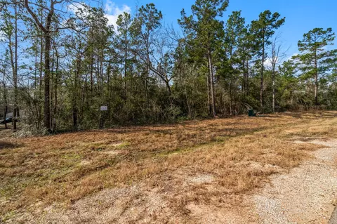 15491 Red Hawk Rd, Willis, TX 77378 photo 9