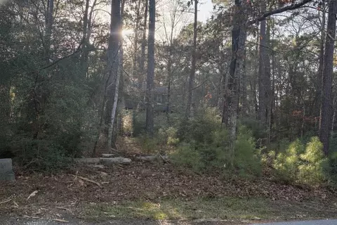 172 N Fairway Loop, Coldspring, TX 77331