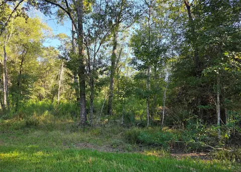 00 Tidwell Ln, Shepherd, TX 77371