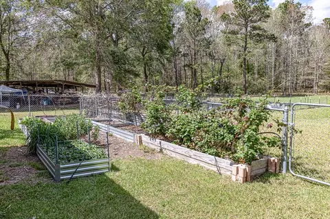Other - 188 Pullin Rd, Corrigan, TX 75939 photo 20 of 21