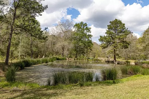 Other - 188 Pullin Rd, Corrigan, TX 75939 photo 21 of 21