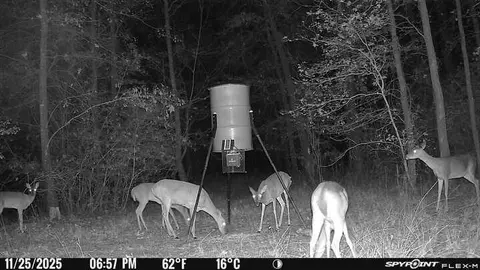 Other - 188 Pullin Rd, Corrigan, TX 75939 photo 19 of 21