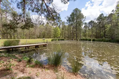 View/Area - 188 Pullin Rd, Corrigan, TX 75939 photo 1 of 1