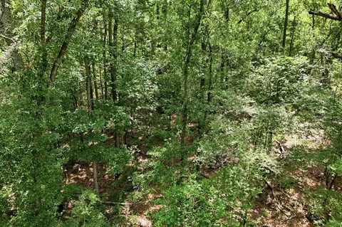 tbd Coleman Dr, Splendora, TX 77372 photo 3