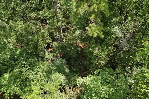 tbd Coleman Dr, Splendora, TX 77372