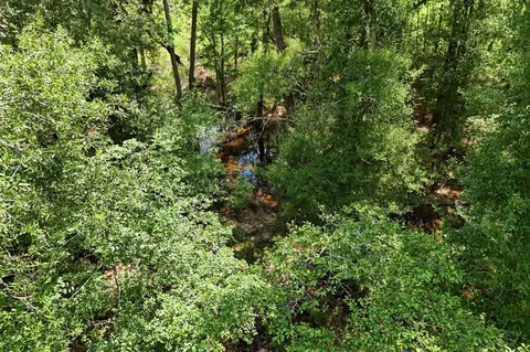 tbd Coleman Dr, Splendora, TX 77372 photo 6