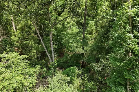 tbd Coleman Dr, Splendora, TX 77372 photo 2