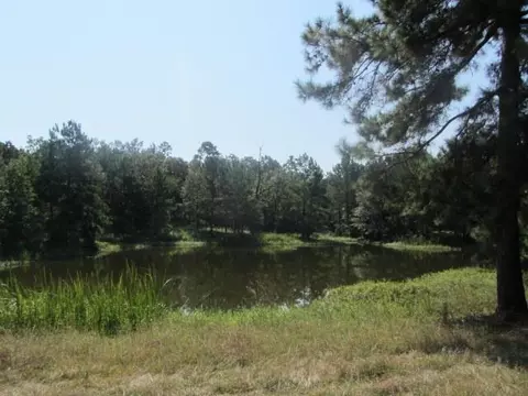 tbd Tx-19, Huntsville, TX 77320