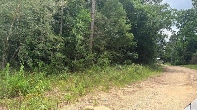 lot1 Millcreek Dr, Ivanhoe, TX 75979