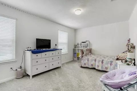 Other - 3331 Forest Chitto Dr, Spring, TX 77373 photo 4 of 5