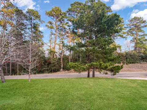 Exterior - 254 E Sunset Dr, Onalaska, TX 77360 photo 3 of 4