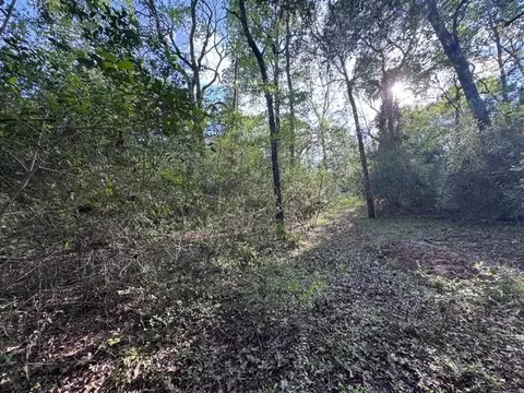 tbd 10 Coral Gables, Trinity, TX 75862 photo 8