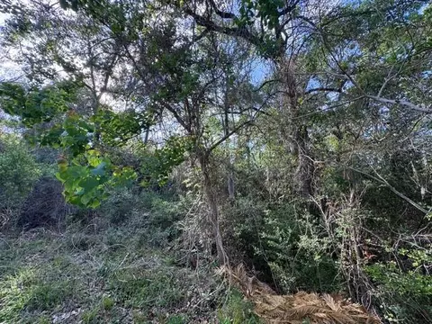 tbd 10 Coral Gables, Trinity, TX 75862 photo 7