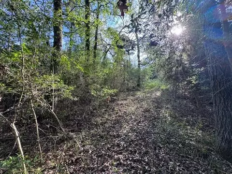 tbd 10 Coral Gables, Trinity, TX 75862 photo 6
