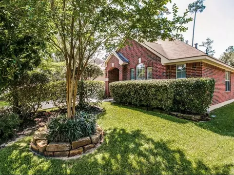 22 Heron Hollow Ct, The Woodlands, TX 77382