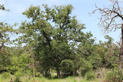 Other - 2547 Bob Mathews St, Bedias, TX 77831 photo 3 of 12