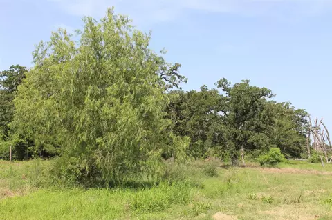 Other - 2547 Bob Mathews St, Bedias, TX 77831 photo 11 of 12