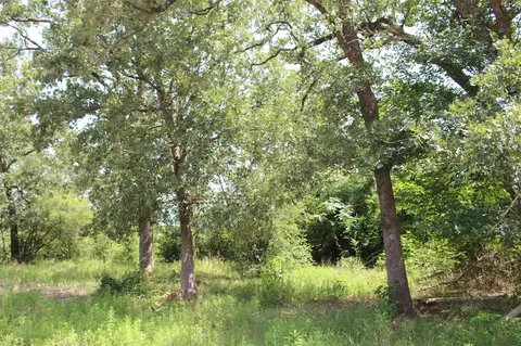 Other - 2547 Bob Mathews St, Bedias, TX 77831 photo 4 of 12