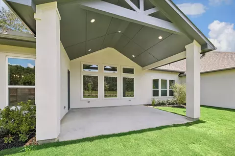 Exterior - 15910 Mango Tango Dr, Conroe, TX 77302 photo 6 of 7