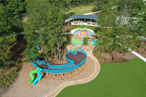 View/Area - 15910 Mango Tango Dr, Conroe, TX 77302 photo 8 of 9