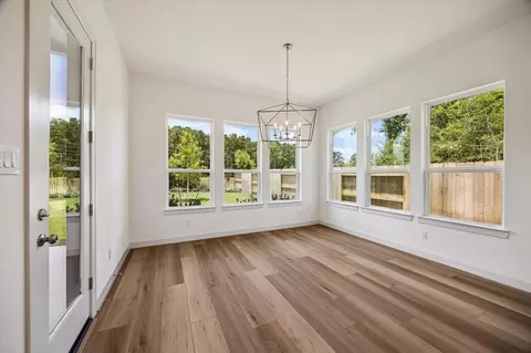 Other - 15910 Mango Tango Dr, Conroe, TX 77302 photo 2 of 12
