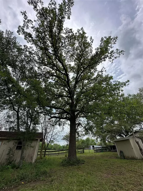 Exterior - 20136 Moriarty Rd, Richards, TX 77873 photo 11 of 12