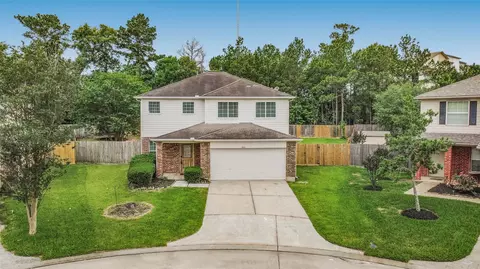 View/Area - 839 Autumn Point Ln, Spring, TX 77373 photo 2 of 4