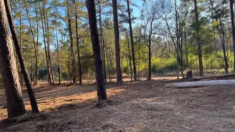 0 Monroe Dr, Livingston, TX 77351