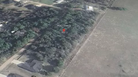 38043 Quail Dr, Hempstead, TX 77445 photo 1