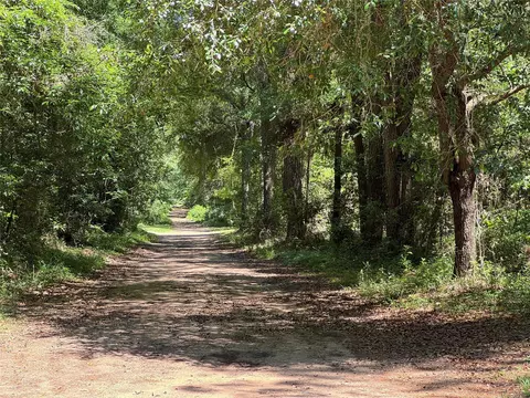 tbd Holly Grove Rd, Livingston, TX 77351
