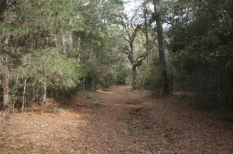9000 N County Road 355, Plantersville, TX 77363