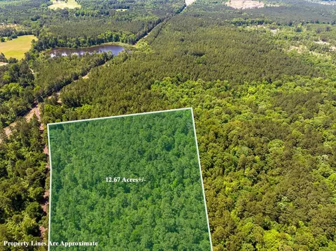 1 County Road 1115, Atlanta, TX 75551