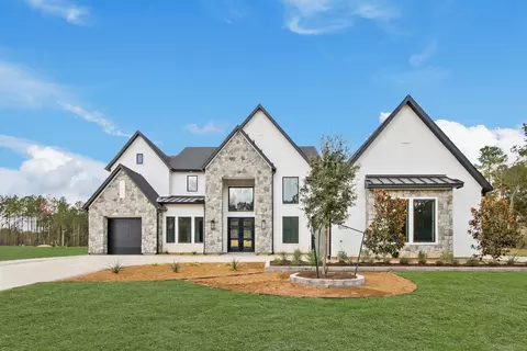 41702 Lays Ct, Montgomery, TX 77316