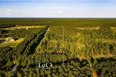 tbd Lot 1 Fm 1276, Livingston, TX 77351