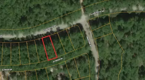 14 Altwood Dr, Coldspring, TX 77331